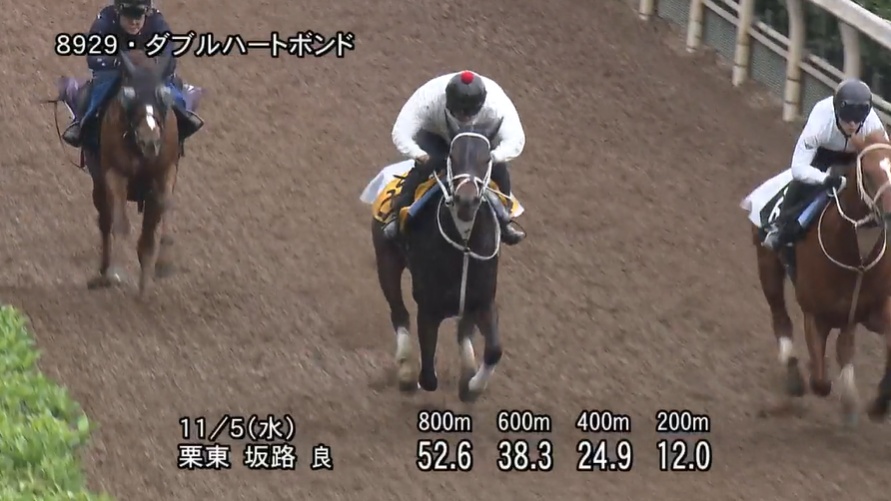 みやこステークス2025 追い切り