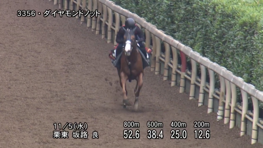 京王杯2歳ステークス2025 追い切り