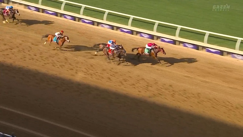 ブリーダーズカップクラシック2025 フォーエバーヤング