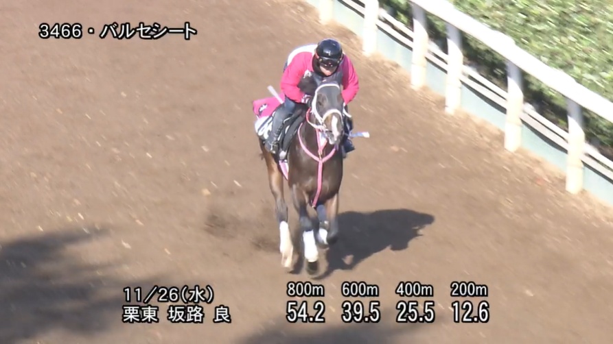 京都2歳ステークス2025 追い切り