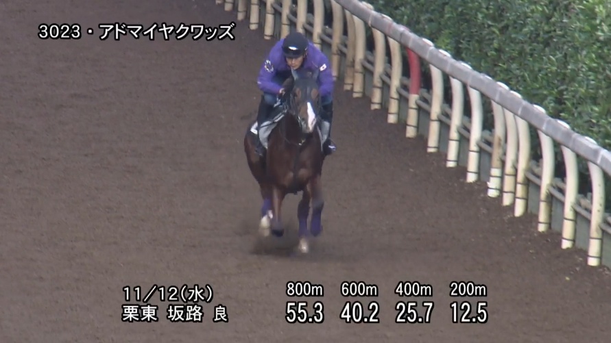 デイリー杯2歳ステークス2025 追い切り