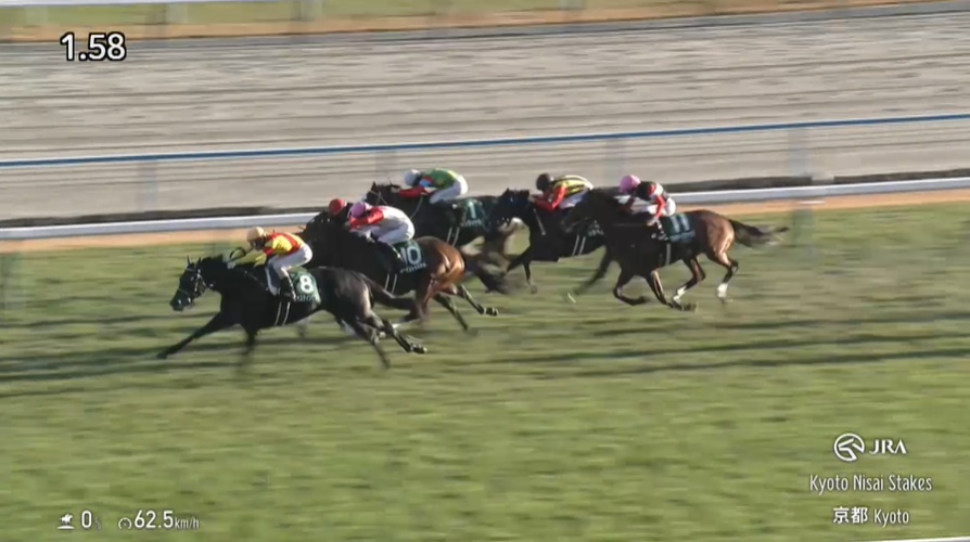 京都2歳ステークス2025 ジャスティンビスタ