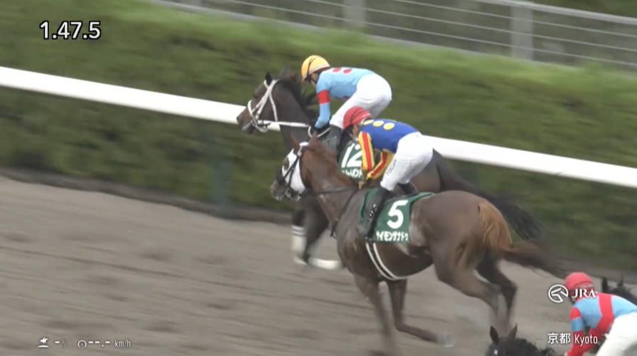 みやこステークス2025 ダブルハートボンド