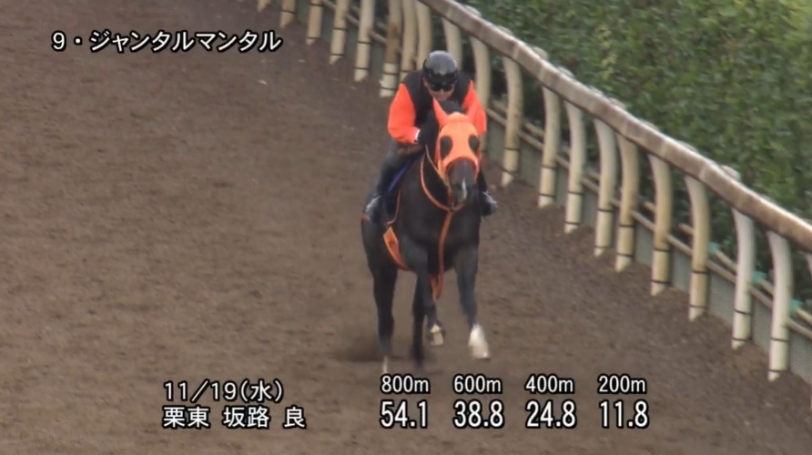 マイルCS 2025 追い切り