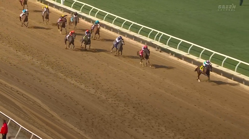 ブリーダーズカップディスタフ2025 スキュラ