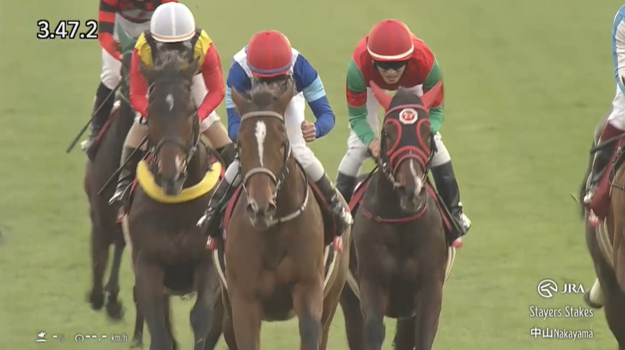 ステイヤーズステークス2025 ホーエリート