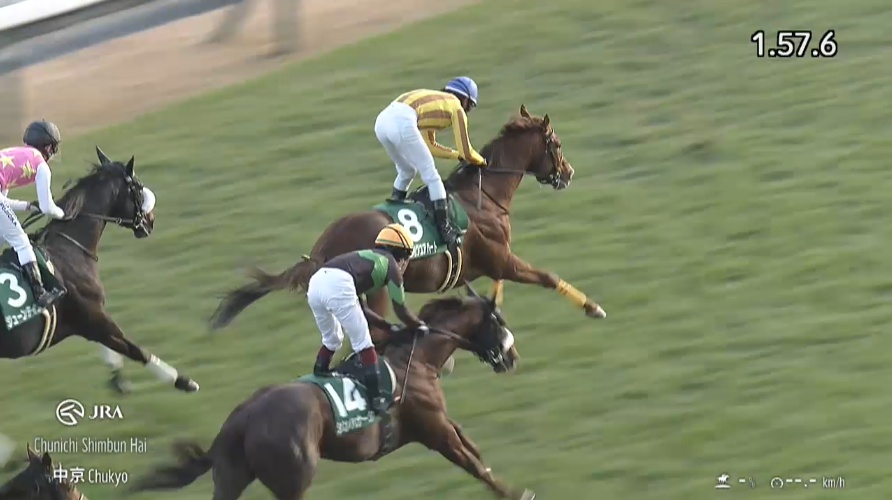 中日新聞杯2025 シェイクユアハート