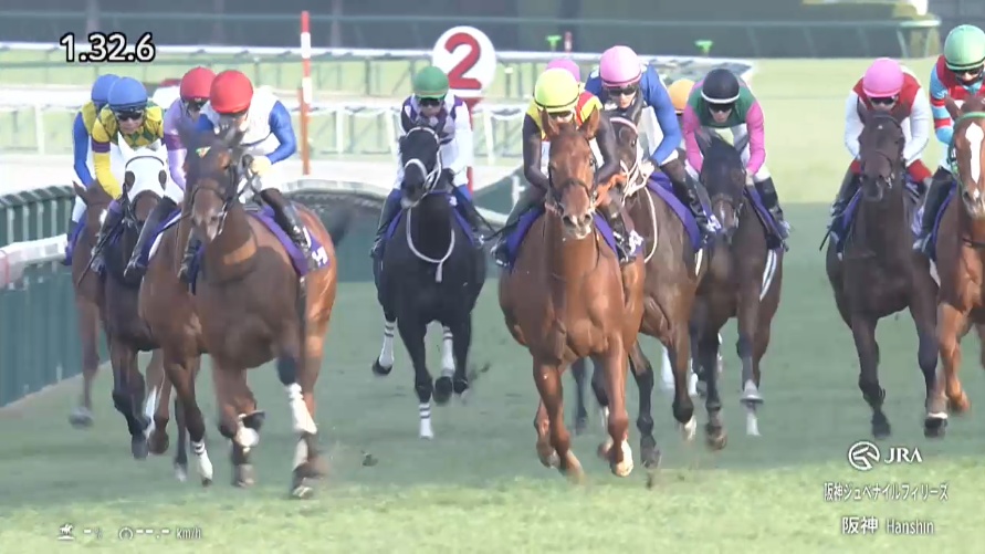 阪神ジュベナイルフィリーズ2025 スターアニス