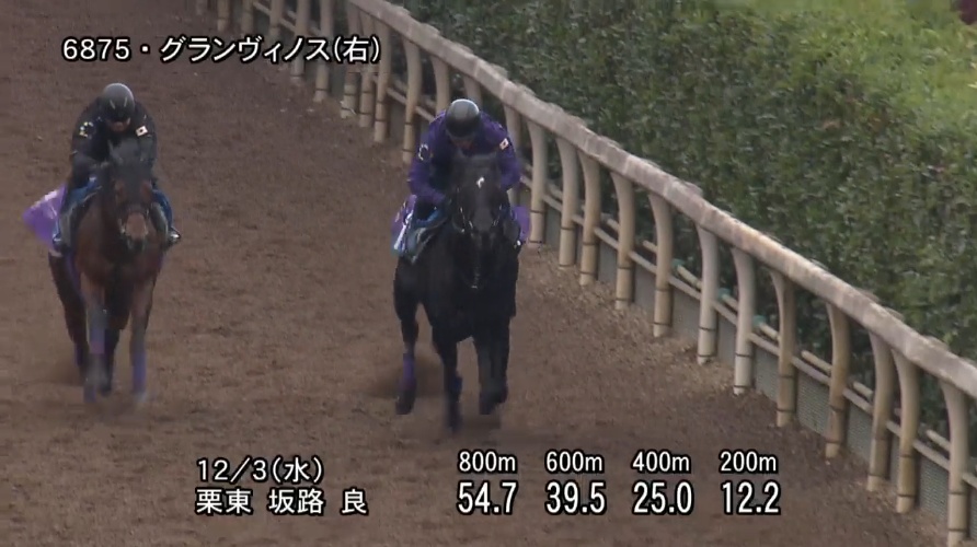 鳴尾記念2025 追い切り