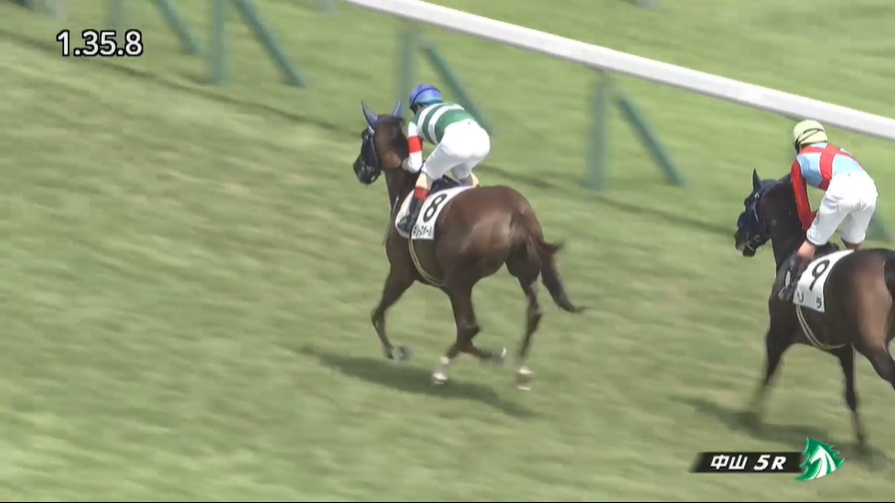 フェアリーステークス2026 出走予定馬 ギリーズボール