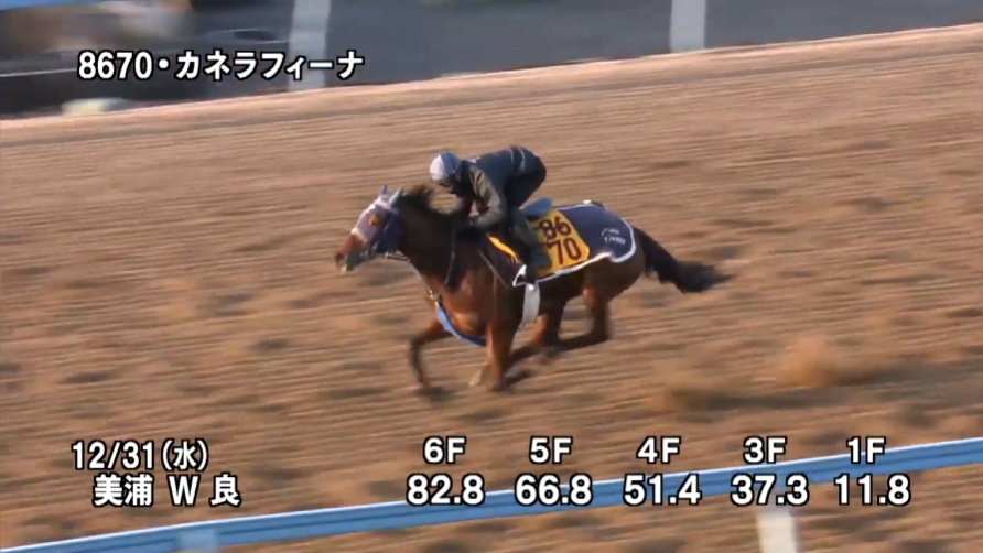 中山金杯2026 追い切り