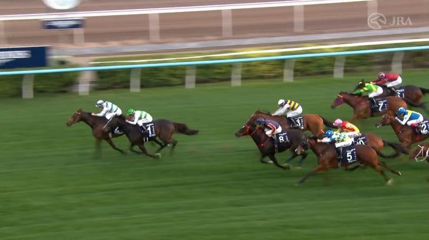 香港マイル2025 ヴォイッジバブル