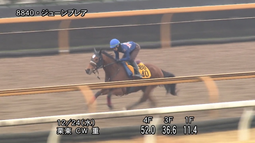 阪神カップ2025 追い切り