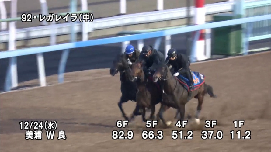 有馬記念2025 追い切り