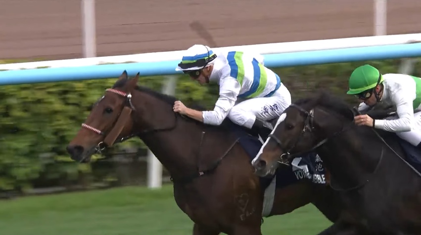 香港マイル2025 ヴォイッジバブル