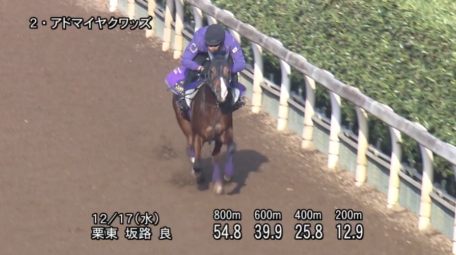 朝日杯フューチュリティステークス2025 追い切り