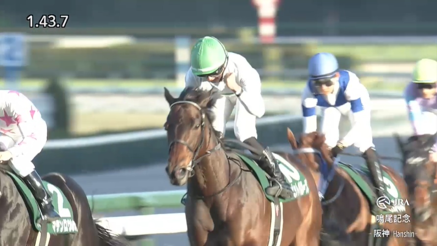 鳴尾記念2025 デビットバローズ