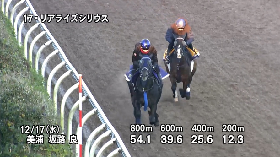 朝日杯フューチュリティステークス2025 追い切り