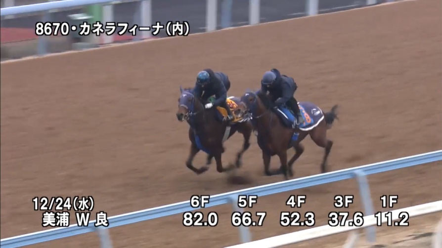 中山金杯2026 追い切り