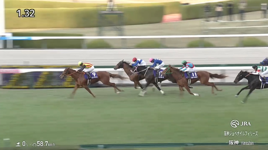 阪神ジュベナイルフィリーズ2025 スターアニス