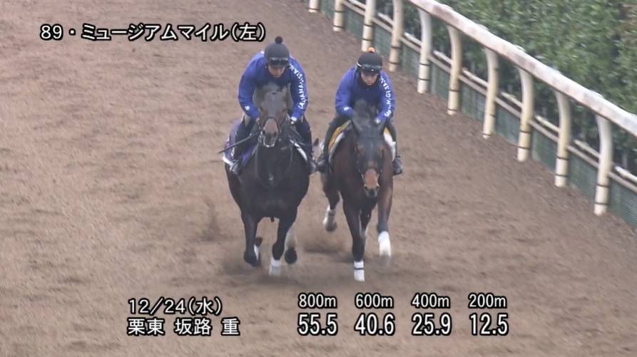 有馬記念2025 追い切り