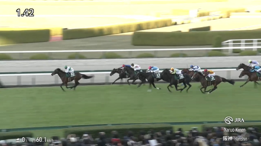 鳴尾記念2025 デビットバローズ