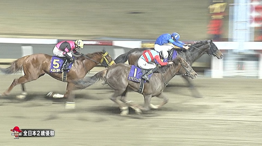 全日本2歳優駿2025 パイロマンサー