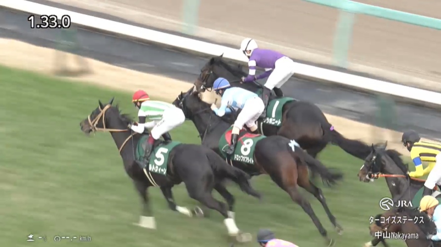 ターコイズステークス2025 ドロップオブライト