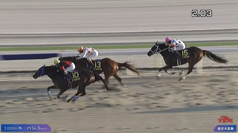 東京大賞典2025 ディクテオン