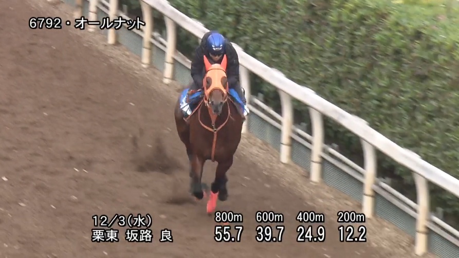 鳴尾記念2025 追い切り