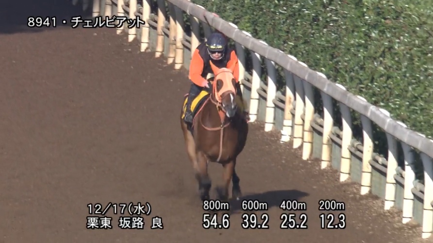 ターコイズステークス2025 追い切り