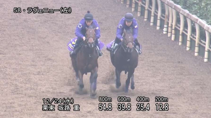 ホープフルステークス2025 追い切り