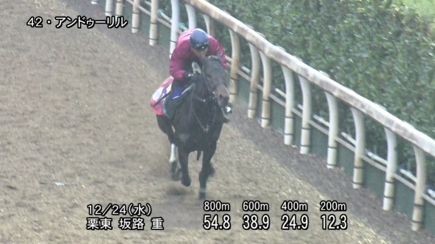 ホープフルステークス2025 追い切り