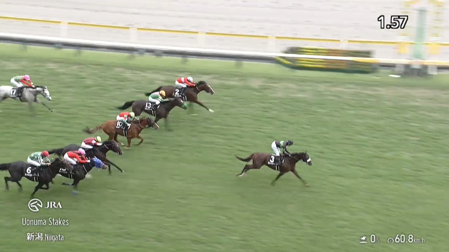 中日新聞杯2025出走予定馬 シンハナーダ