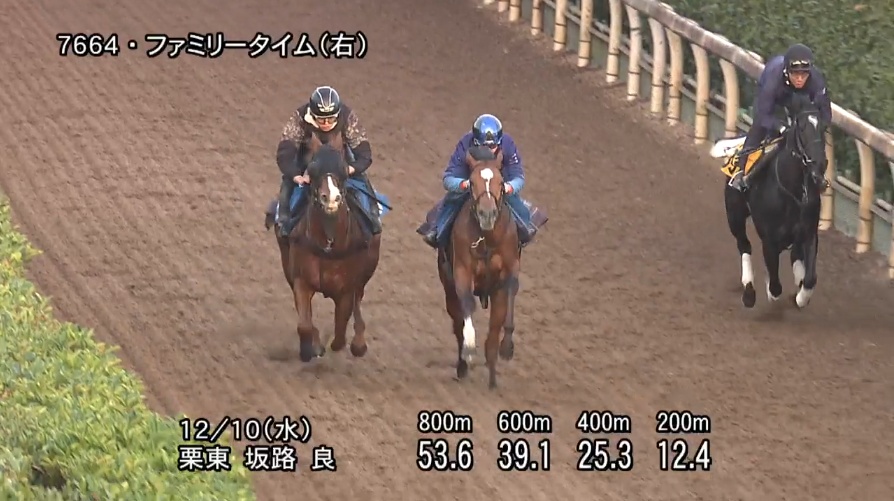 中日新聞杯2025 追い切り