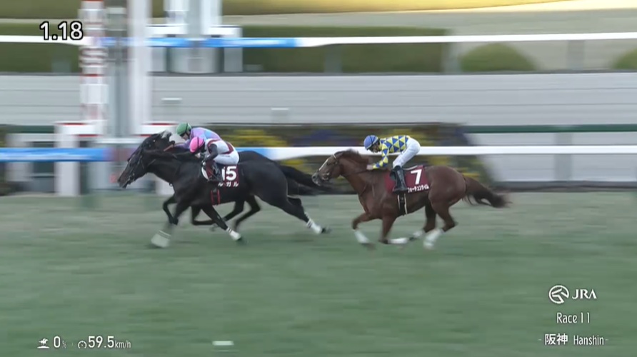 阪神カップ2025 ルガル