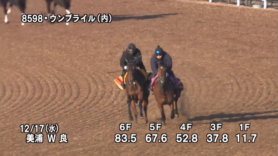 ターコイズステークス2025 追い切り