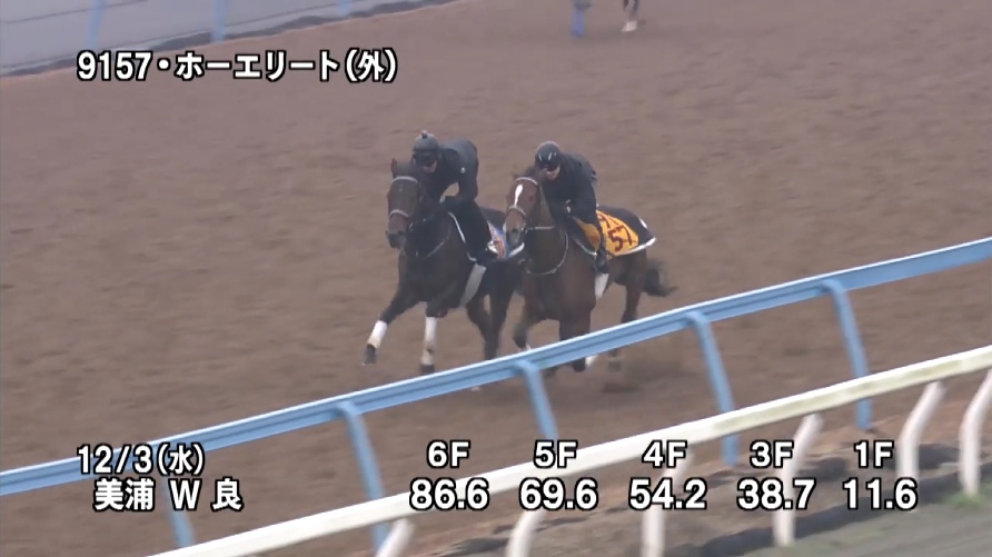 ステイヤーズステークス2025 追い切り