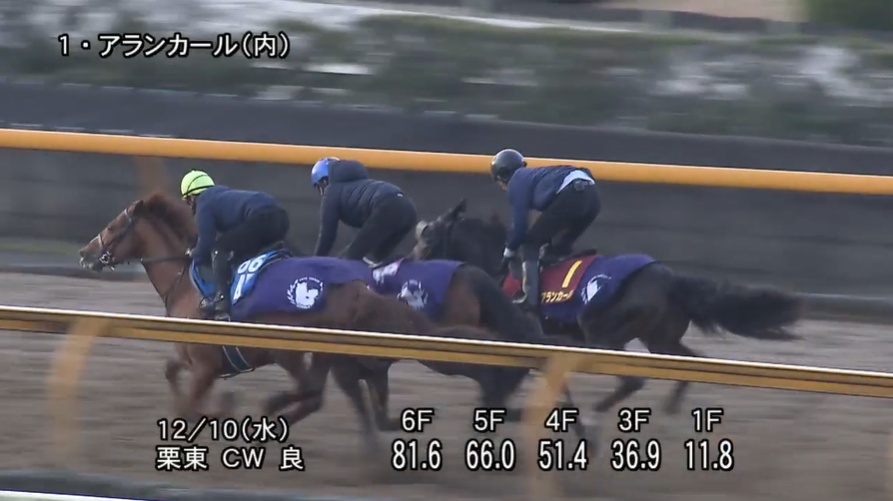 阪神ジュベナイルフィリーズ2025 追い切り