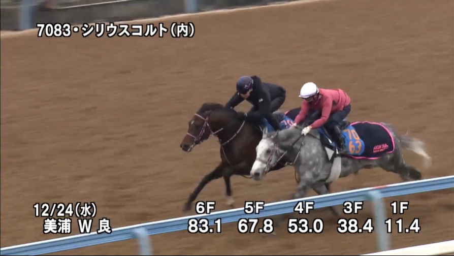 中山金杯2026 追い切り