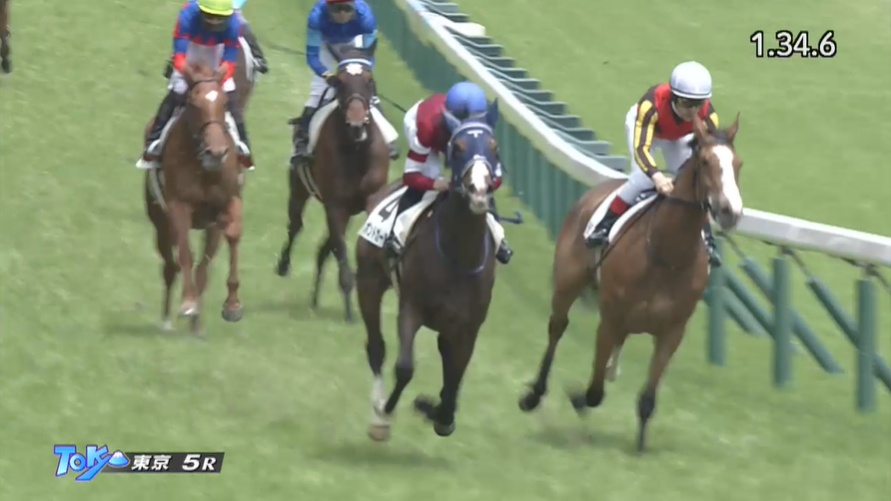 ターコイズステークス2025 出走予定馬 ボンドガール