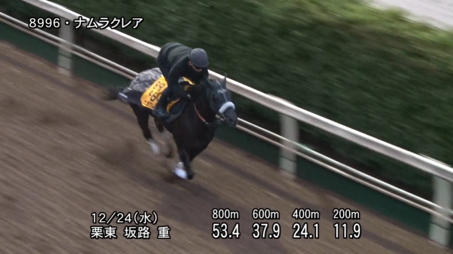 阪神カップ2025 追い切り