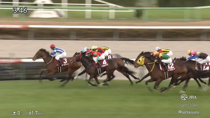 ステイヤーズステークス2025 ホーエリート