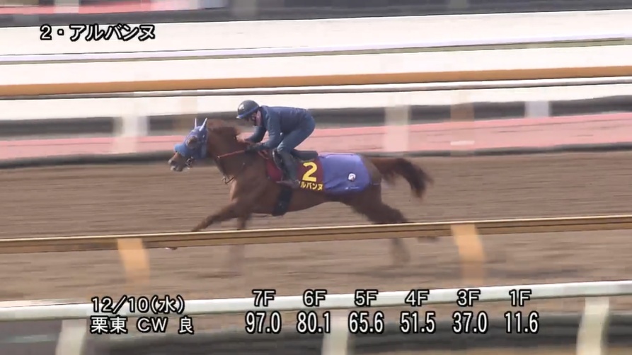 阪神ジュベナイルフィリーズ2025 追い切り