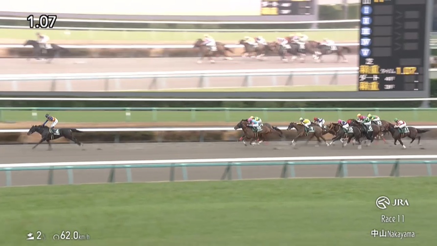 カペラステークス2025 テーオーエルビス