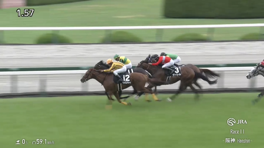 中日新聞杯2025出走予定馬 シェイクユアハート