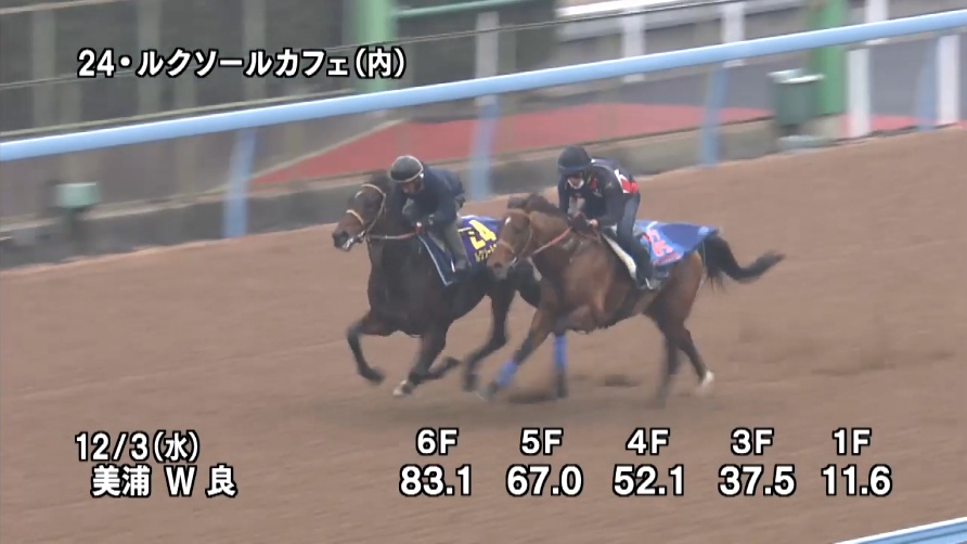 チャンピオンズカップ2025 追い切り