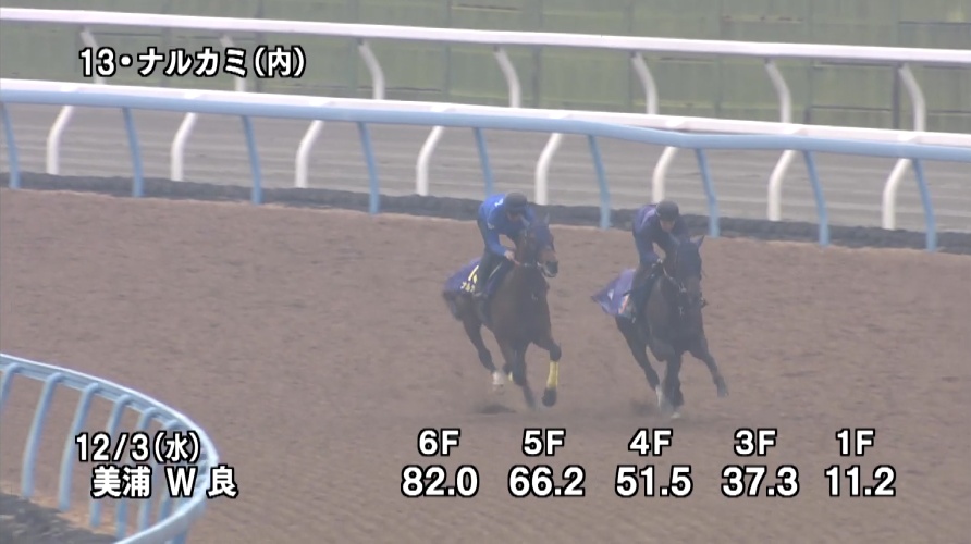 チャンピオンズカップ2025 追い切り