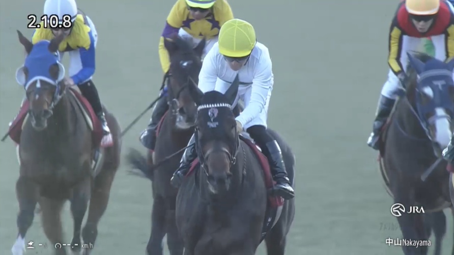 アメリカジョッキークラブカップ2026 ショウヘイ