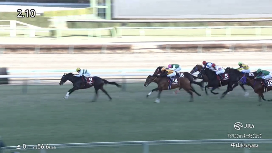 アメリカジョッキークラブカップ2026 ショウヘイ